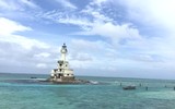 Những người bạn thủy chung của lính đảo ở Trường Sa